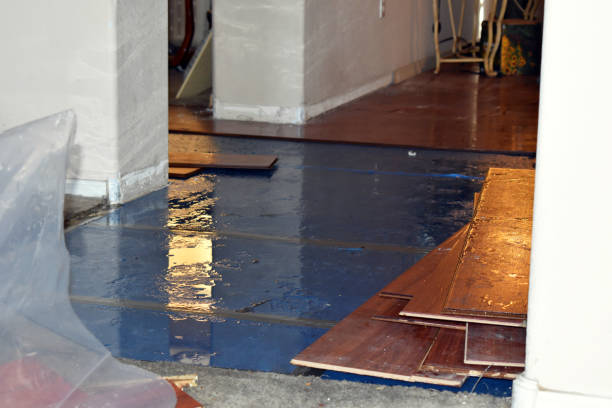 Professional Basement Flood Cleanup technician working in Sprague, WV